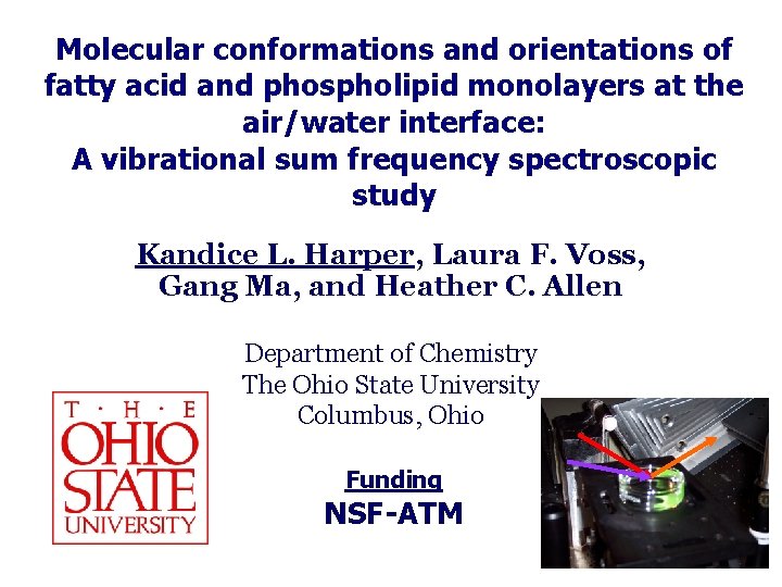 Molecular conformations and orientations of fatty acid and phospholipid monolayers at the air/water interface: