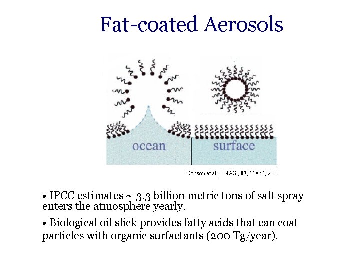 Fat-coated Aerosols Dobson et al. , PNAS. , 97, 11864, 2000 • IPCC estimates