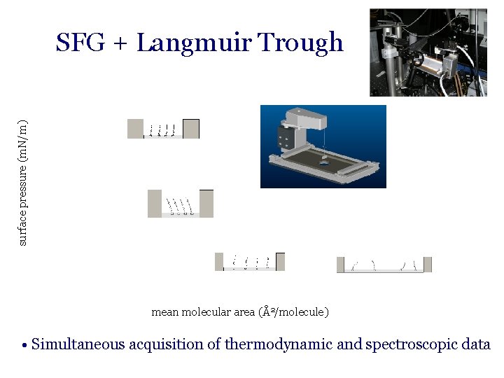 surface pressure (m. N/m) SFG + Langmuir Trough mean molecular area (Å2/molecule) • Simultaneous