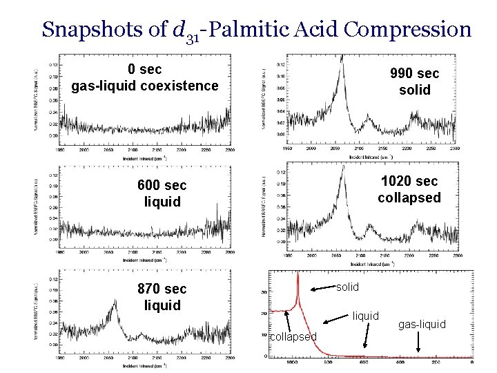 Snapshots of d 31 -Palmitic Acid Compression 0 sec gas-liquid coexistence 990 sec solid