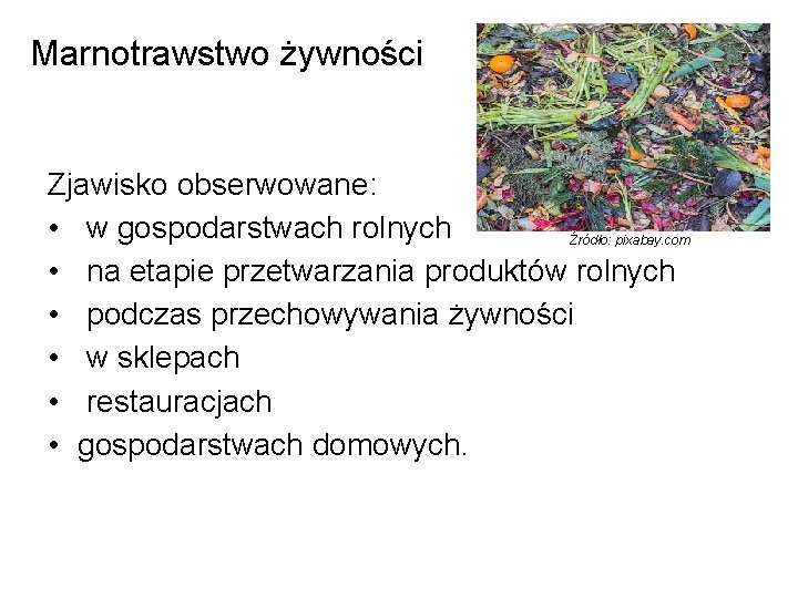 Marnotrawstwo żywności Zjawisko obserwowane: • w gospodarstwach rolnych Źródło: pixabay. com: • na etapie Marnotrawstwo żywności Zjawisko obserwowane: • w gospodarstwach rolnych Źródło: pixabay. com: • na etapie