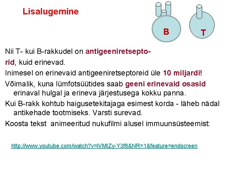 Lisalugemine B B T Nii T- kui B-rakkudel on antigeeniretseptorid, kuid erinevad. Inimesel on