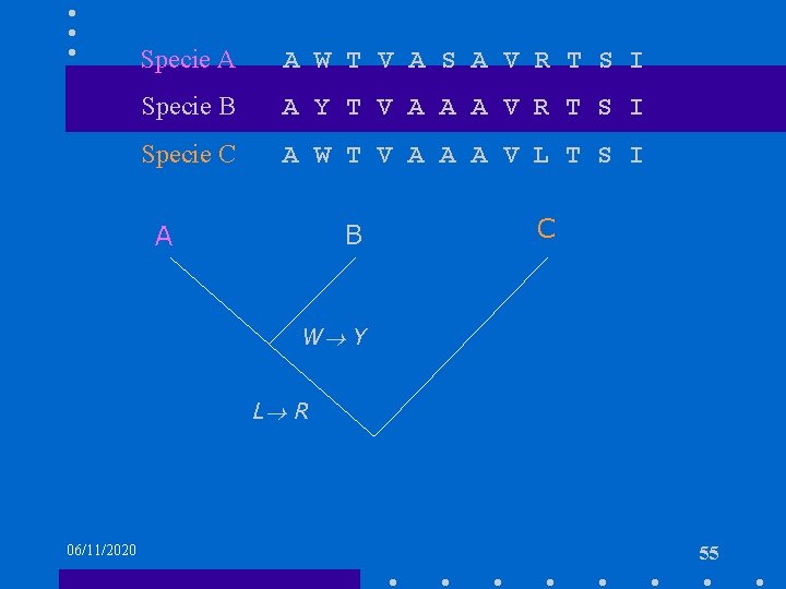 Specie A A W T V A S A V R T S I