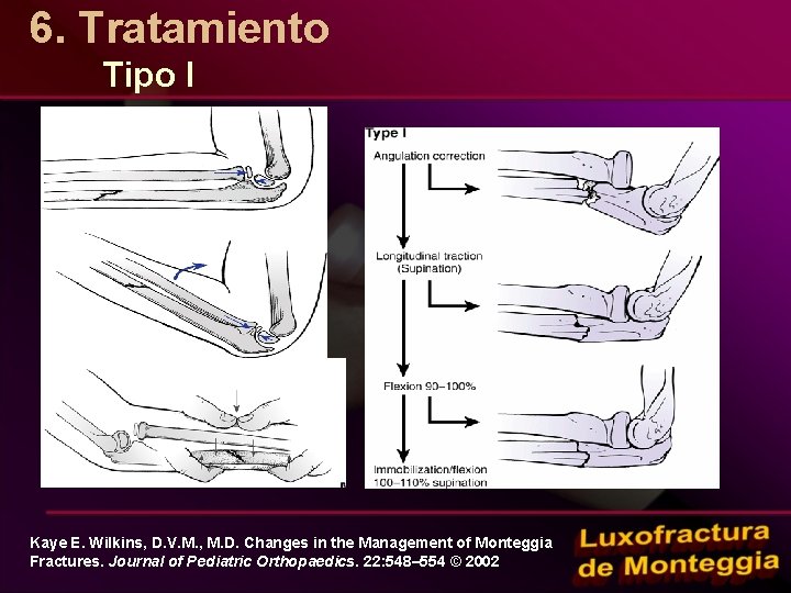 6. Tratamiento Tipo I Kaye E. Wilkins, D. V. M. , M. D. Changes