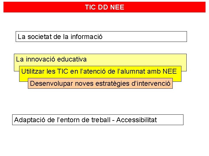 TIC DD NEE La societat de la informació La innovació educativa Utilitzar les TIC