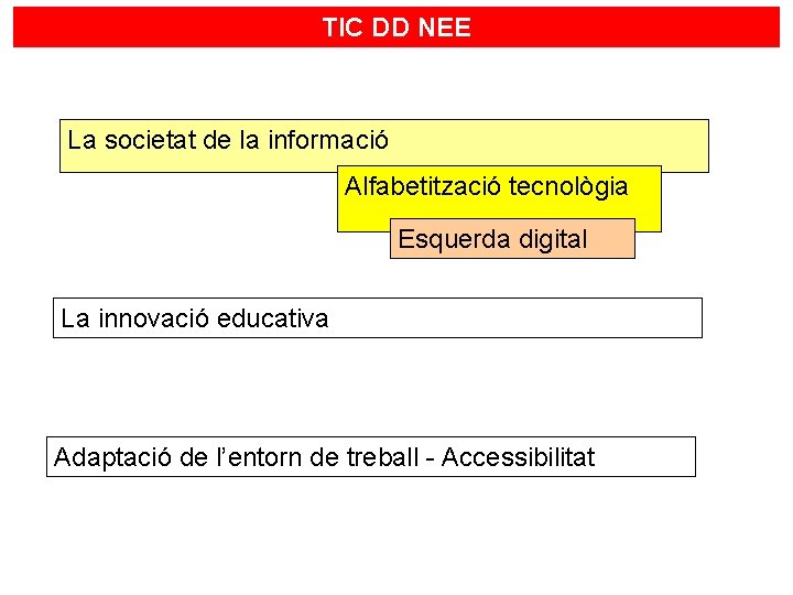 TIC DD NEE La societat de la informació Alfabetització tecnològia Esquerda digital La innovació