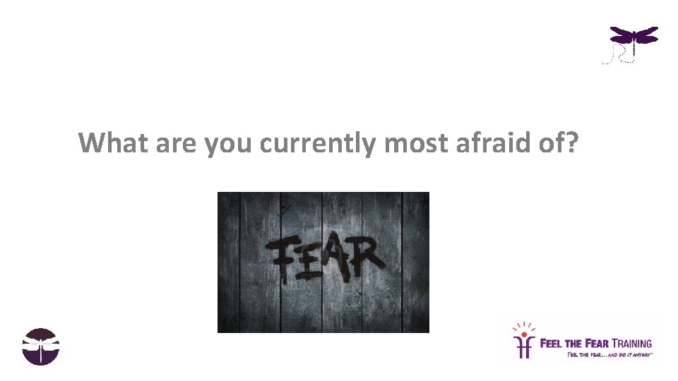 What are you currently most afraid of? 