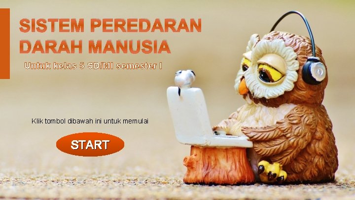 SISTEM PEREDARAN DARAH MANUSIA Untuk kelas 5 SD/MI semester I Klik tombol dibawah ini