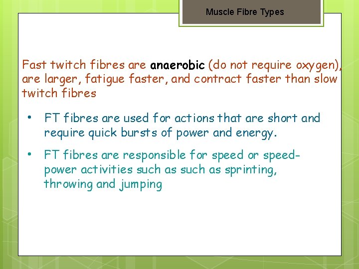 Muscle Fibre Types Fast twitch fibres are anaerobic (do not require oxygen), are larger,