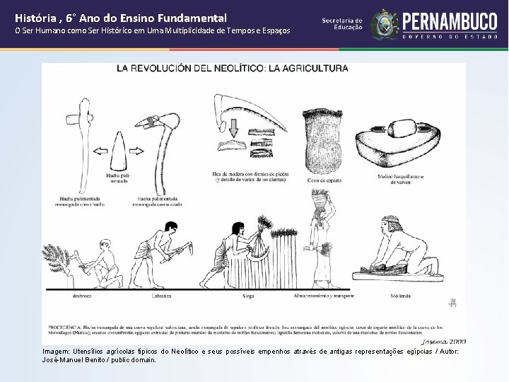 História , 6° Ano do Ensino Fundamental O Ser Humano como Ser Histórico em