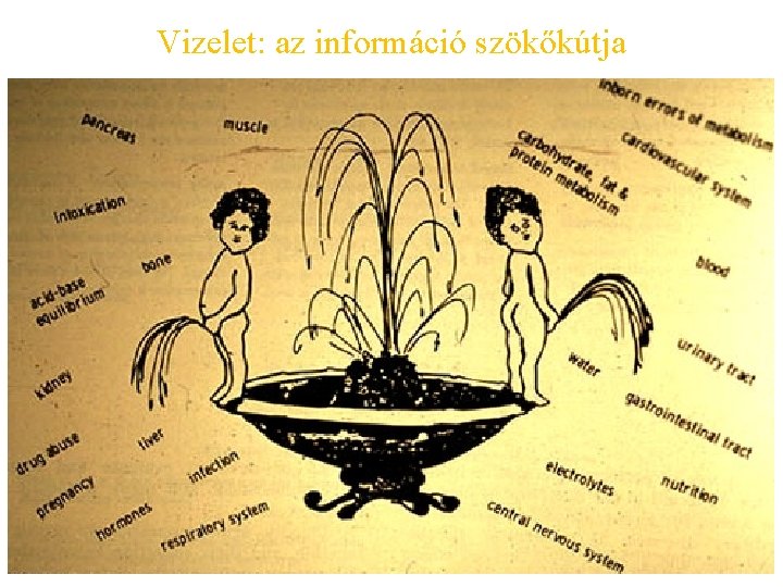 Vizelet: az információ szökőkútja 