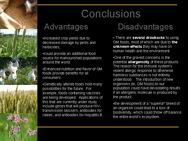 Conclusions Advantages • increased crop yields due to decreased damage by pests and herbicides,