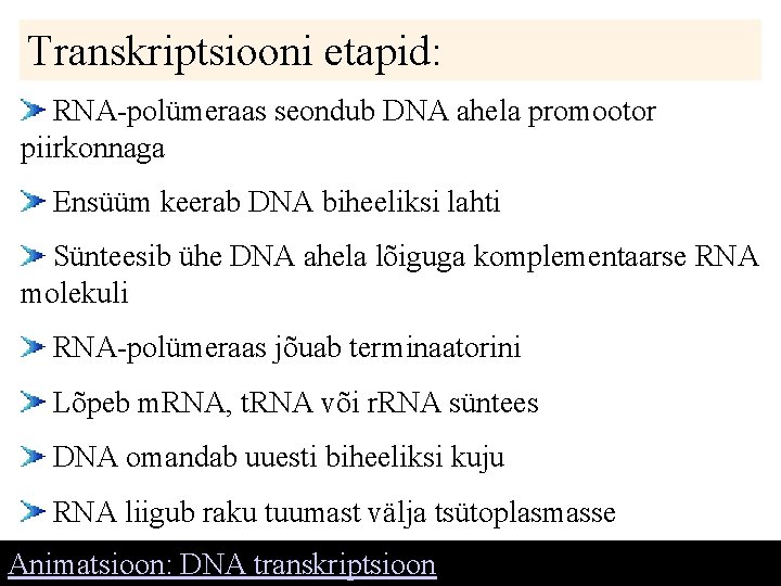Transkriptsiooni etapid: RNA-polümeraas seondub DNA ahela promootor piirkonnaga Ensüüm keerab DNA biheeliksi lahti Sünteesib Transkriptsiooni etapid: RNA-polümeraas seondub DNA ahela promootor piirkonnaga Ensüüm keerab DNA biheeliksi lahti Sünteesib