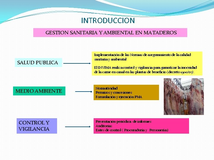 INTRODUCCION GESTION SANITARIA Y AMBIENTAL EN MATADEROS SALUD PUBLICA MEDIO AMBIENTE CONTROL Y VIGILANCIA