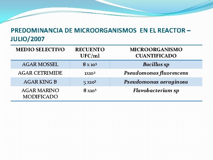 PREDOMINANCIA DE MICROORGANISMOS EN EL REACTOR – JULIO/2007 MEDIO SELECTIVO RECUENTO UFC/ml MICROORGANISMO CUANTIFICADO