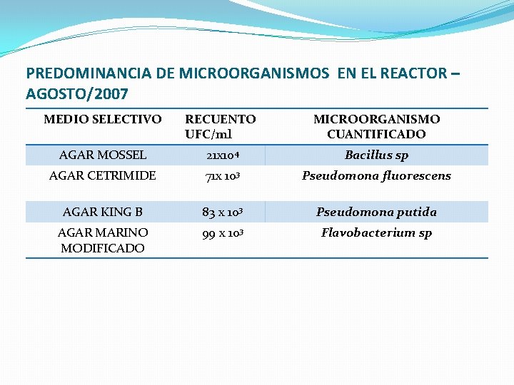 PREDOMINANCIA DE MICROORGANISMOS EN EL REACTOR – AGOSTO/2007 MEDIO SELECTIVO RECUENTO UFC/ml MICROORGANISMO CUANTIFICADO