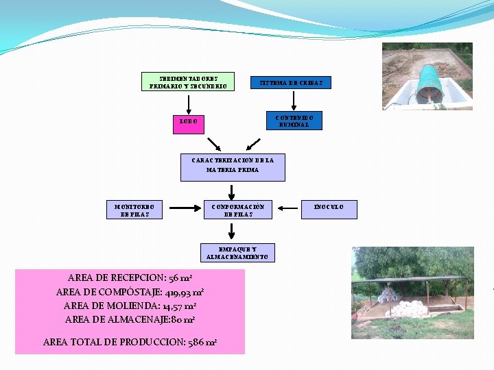 SEDIMENTADORES PRIMARIO Y SECUNDRIO SISTEMA DE CRIBAS CONTENIDO RUMINAL LODO CARACTERIZACION DE LA MATERIA