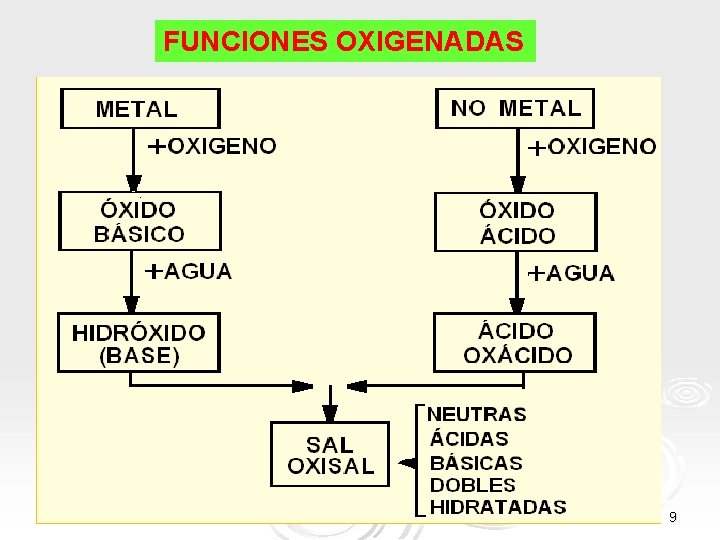 FUNCIONES OXIGENADAS 9 FUNCIONES OXIGENADAS 9
