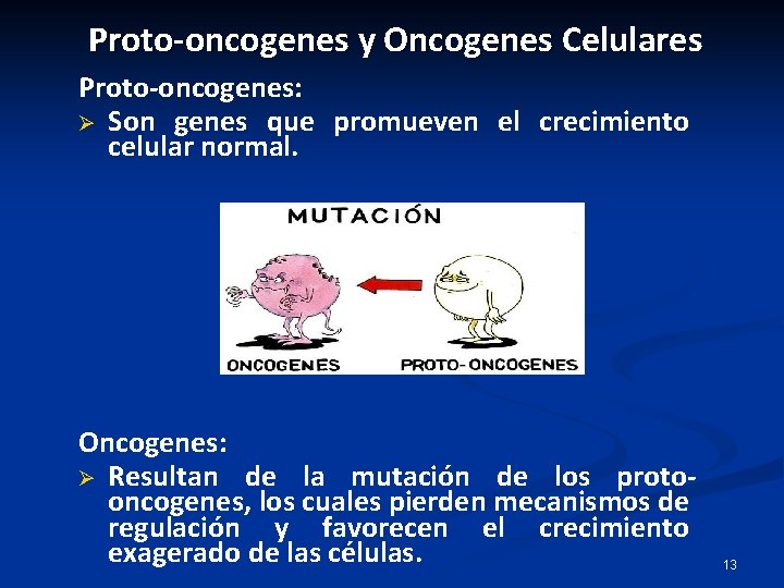 Proto-oncogenes y Oncogenes Celulares Proto-oncogenes: Ø Son genes que promueven el crecimiento celular normal. Proto-oncogenes y Oncogenes Celulares Proto-oncogenes: Ø Son genes que promueven el crecimiento celular normal.