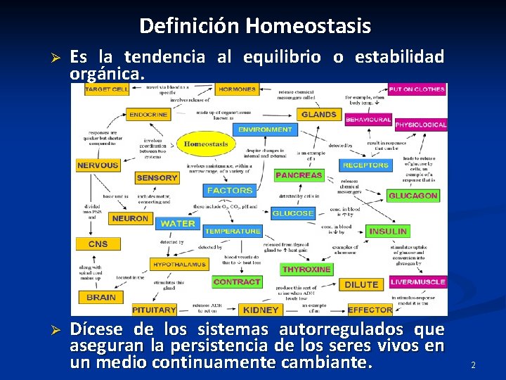 Definición Homeostasis Ø Es la tendencia al equilibrio o estabilidad orgánica. Ø Dícese de