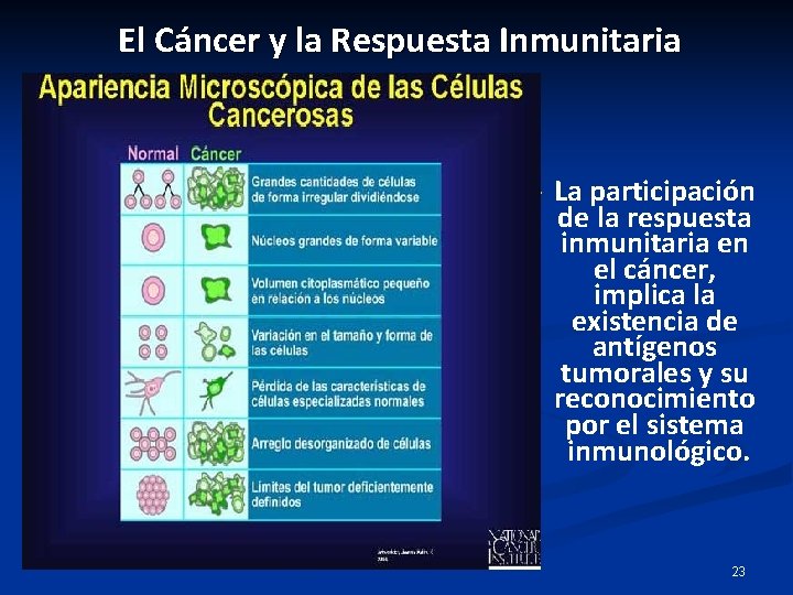 El Cáncer y la Respuesta Inmunitaria v La participación de la respuesta inmunitaria en El Cáncer y la Respuesta Inmunitaria v La participación de la respuesta inmunitaria en