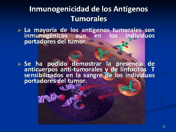 Inmunogenicidad de los Antígenos Tumorales Ø La mayoría de los antígenos tumorales son inmunogénicos Inmunogenicidad de los Antígenos Tumorales Ø La mayoría de los antígenos tumorales son inmunogénicos