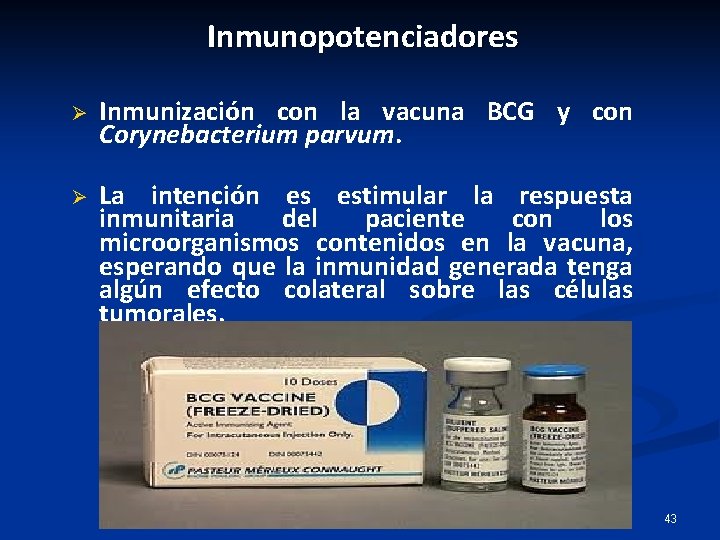 Inmunopotenciadores Ø Inmunización con la vacuna BCG y con Corynebacterium parvum. Ø La intención Inmunopotenciadores Ø Inmunización con la vacuna BCG y con Corynebacterium parvum. Ø La intención