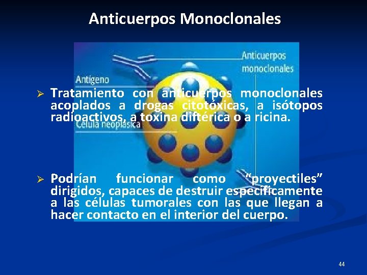 Anticuerpos Monoclonales Ø Tratamiento con anticuerpos monoclonales acoplados a drogas citotóxicas, a isótopos radioactivos,