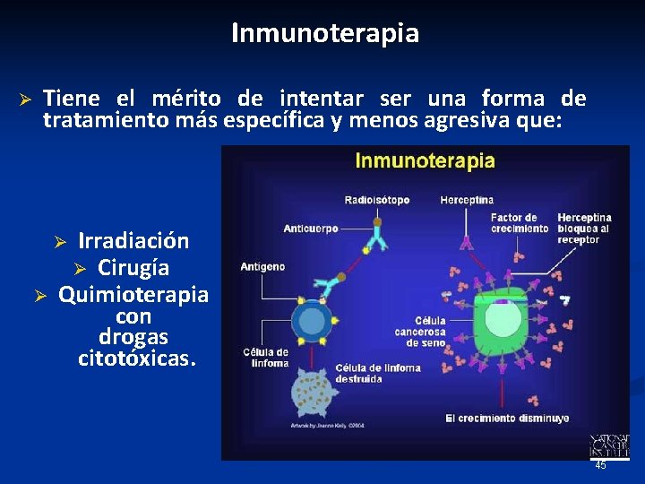 Inmunoterapia Ø Tiene el mérito de intentar ser una forma de tratamiento más específica