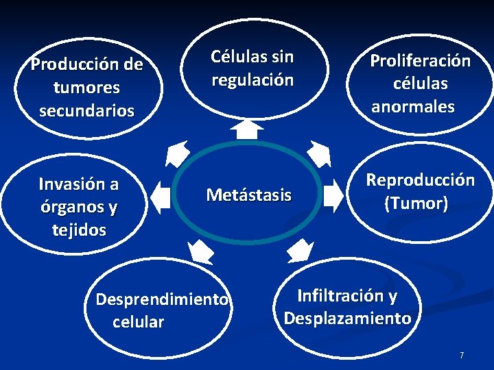 Producción de tumores secundarios Invasión a órganos y tejidos Células sin regulación Metástasis Desprendimiento