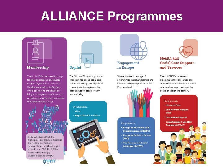 ALLIANCE Programmes ALLIANCE Programmes