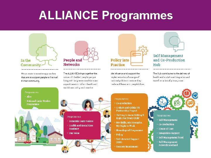 ALLIANCE Programmes ALLIANCE Programmes