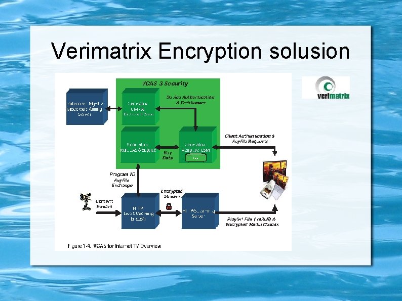 Verimatrix Encryption solusion 