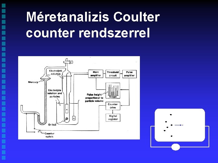Méretanalizis Coulter counter rendszerrel 