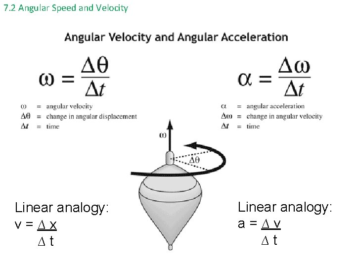 7. 2 Angular Speed and Velocity Linear analogy: v=∆x ∆t Linear analogy: a=∆v ∆t