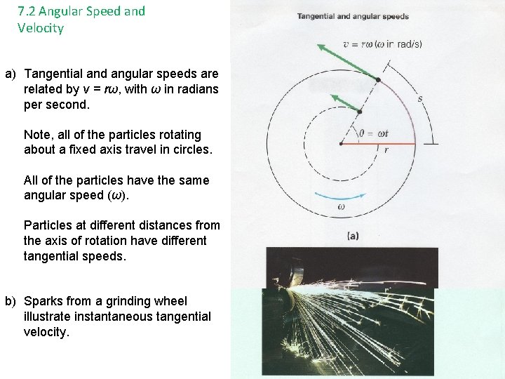 7. 2 Angular Speed and Velocity a) Tangential and angular speeds are related by