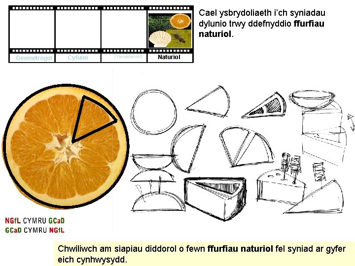 Cael ysbrydoliaeth i’ch syniadau dylunio trwy ddefnyddio ffurfiau naturiol. Geometregol Cyfuno Trawsnewid Naturiol Chwiliwch