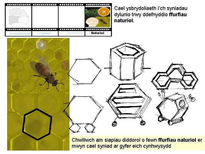 Cael ysbrydoliaeth i’ch syniadau dylunio trwy ddefnyddio ffurfiau naturiol. Geometregol Cyfuno Trawsnewid Naturiol Chwiliwch Cael ysbrydoliaeth i’ch syniadau dylunio trwy ddefnyddio ffurfiau naturiol. Geometregol Cyfuno Trawsnewid Naturiol Chwiliwch