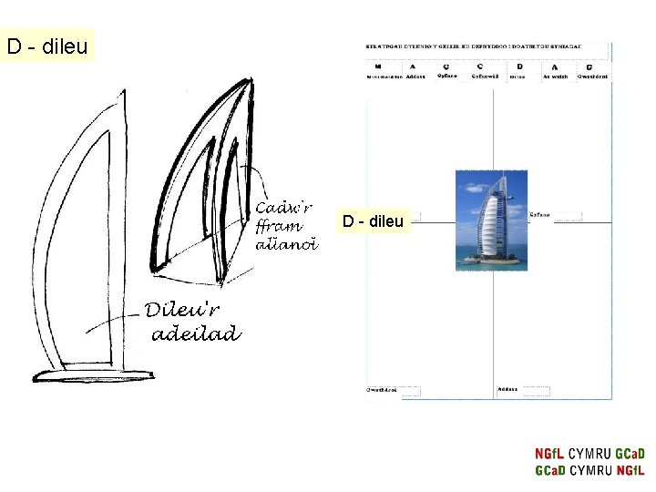 D - dileu D - dileu