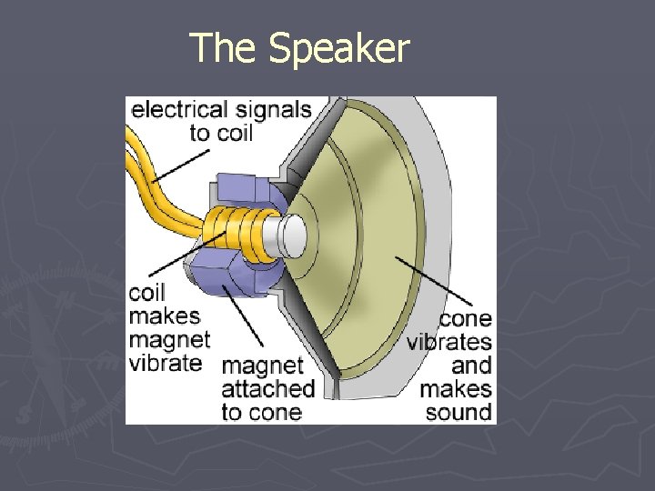 The Speaker 