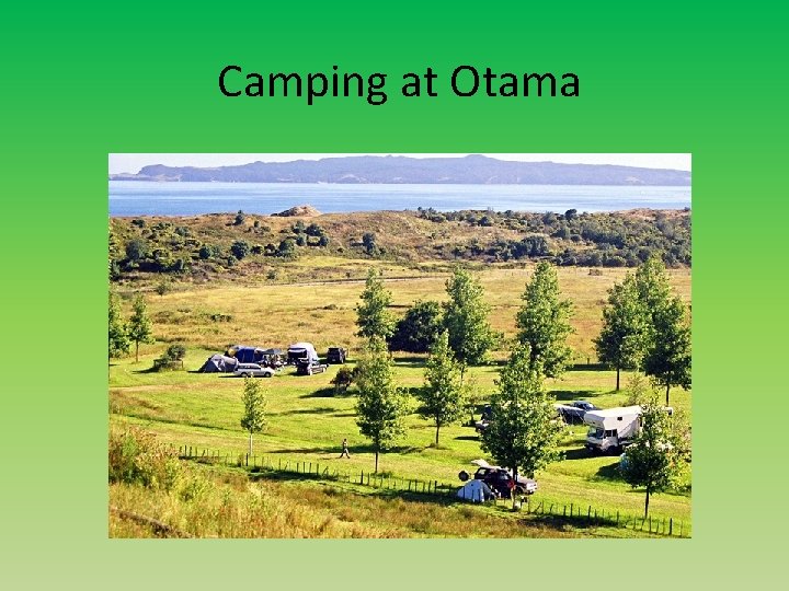 Camping at Otama 