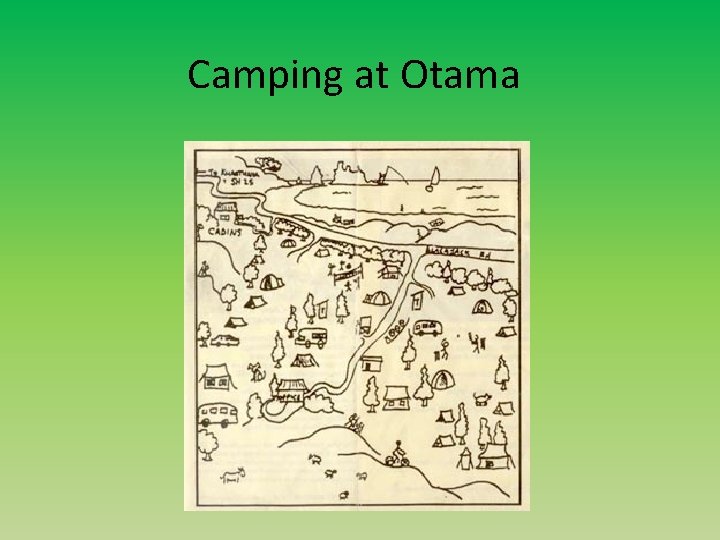 Camping at Otama 