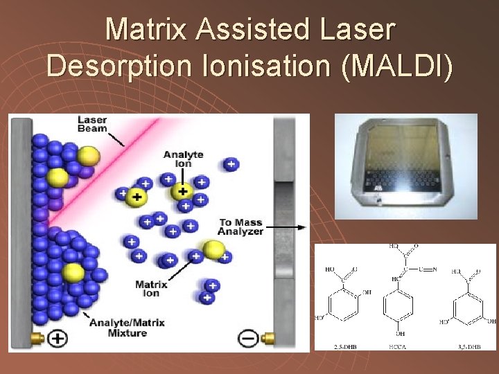 Matrix Assisted Laser Desorption Ionisation (MALDI) 