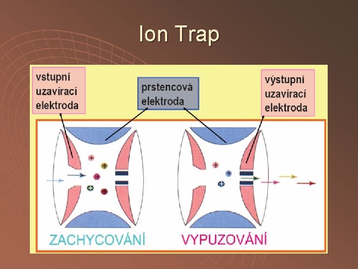 Ion Trap 