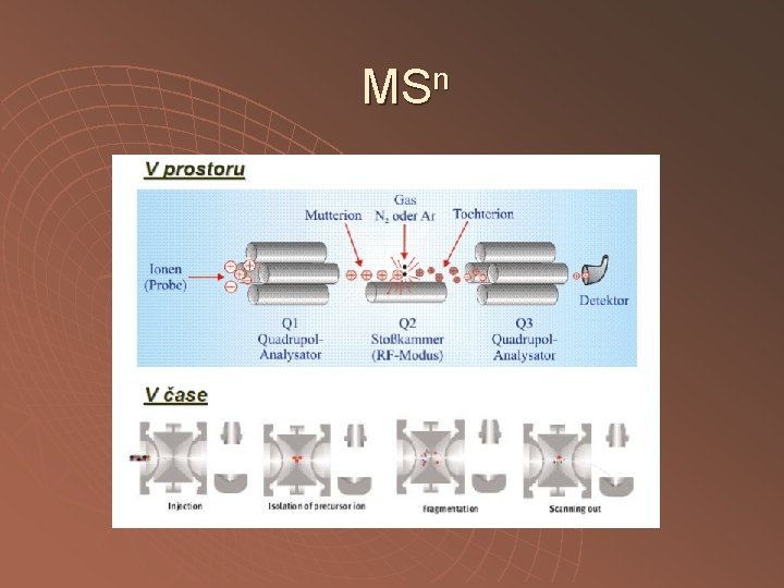 MSn 