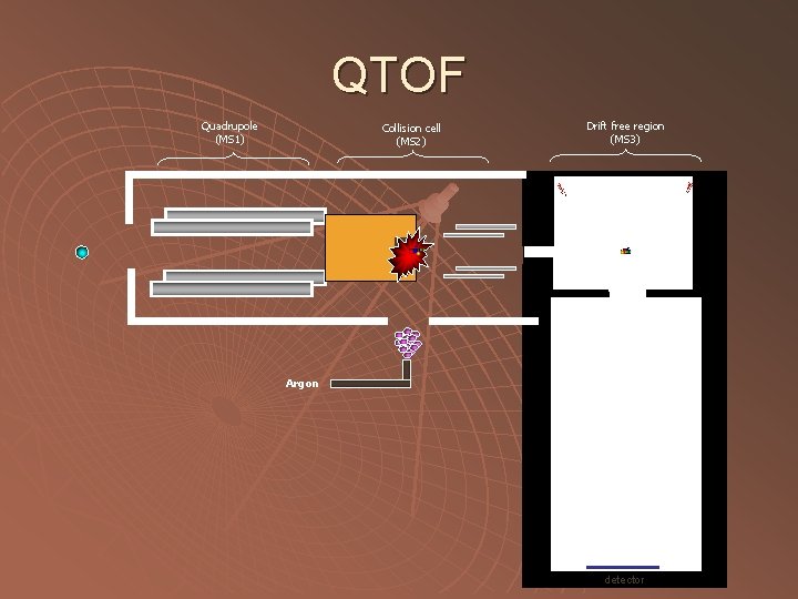 QTOF Quadrupole (MS 1) Collision cell (MS 2) Drift free region (MS 3) Argon