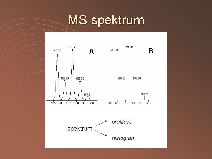 MS spektrum MS spektrum