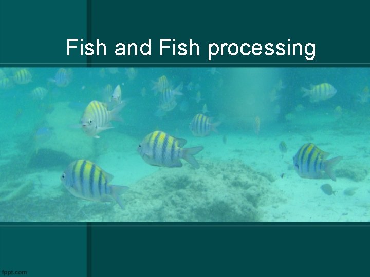 Fish and Fish processing 