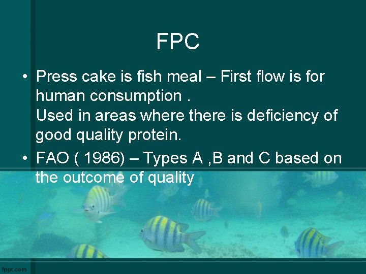 FPC • Press cake is fish meal – First flow is for human consumption.