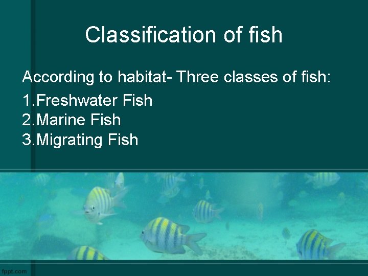 Classification of fish According to habitat- Three classes of fish: 1. Freshwater Fish 2.